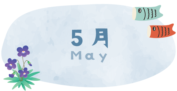 5月