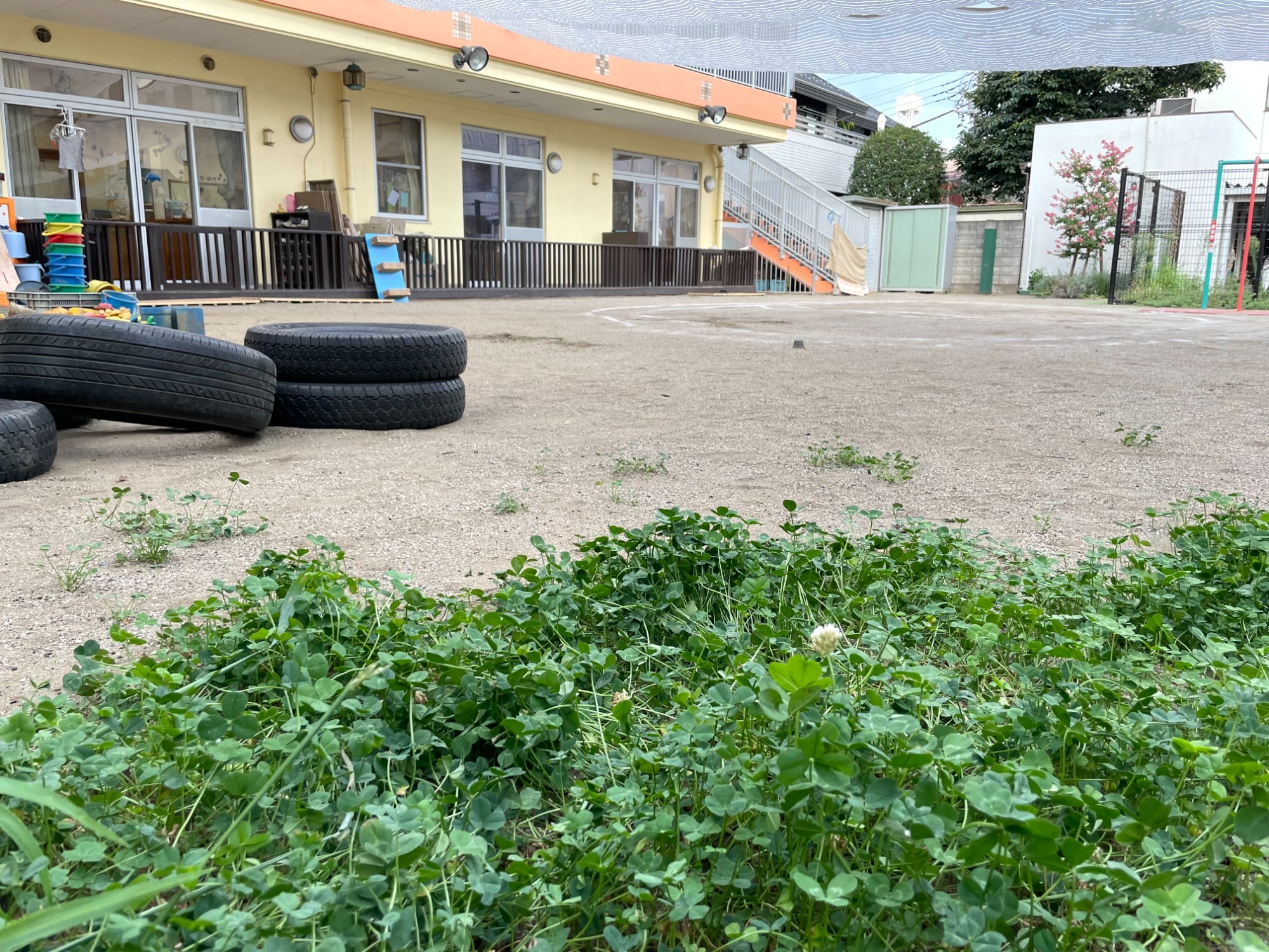 園庭整備プロジェクトニュース