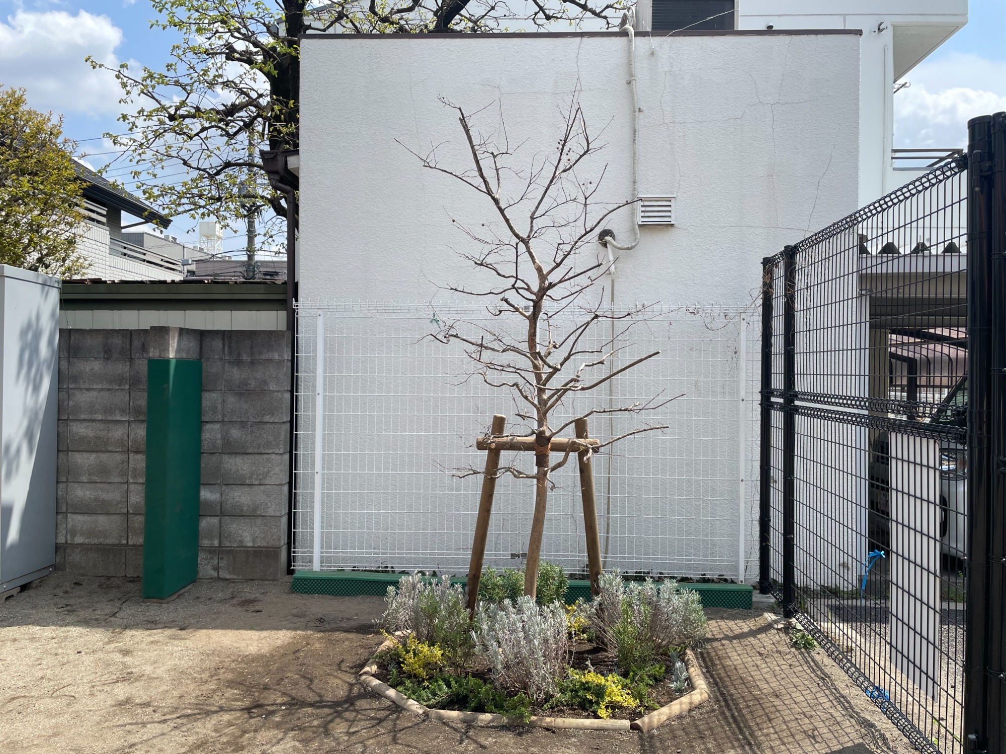 園庭整備プロジェクトニュース